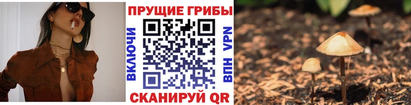 даркнет телеграм Новокубанск Псилоцибиновые грибы Magic Shrooms закладка