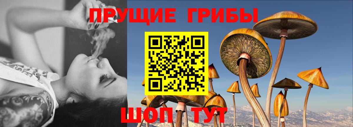 Галлюциногенные грибы Magic Shrooms  Псилоцибиновые грибы мухоморы  Новокубанск  Вход с VPN 